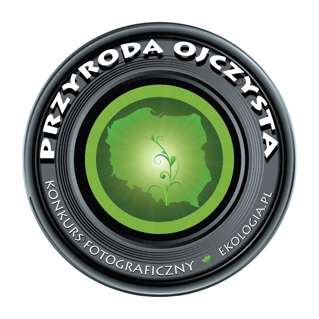 logo-konkurs2021